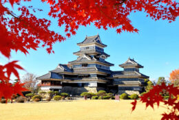 Japan_Autumn_2025 (42/47)